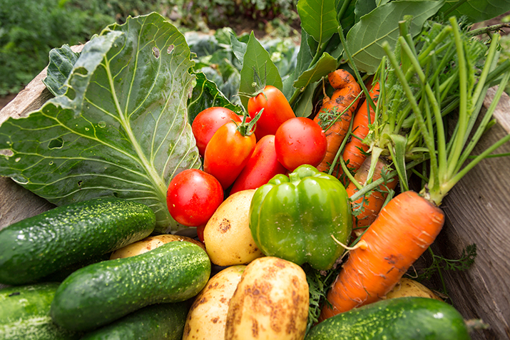 Get Healthy And Save Money By Food Gardening Co Op Welcome To