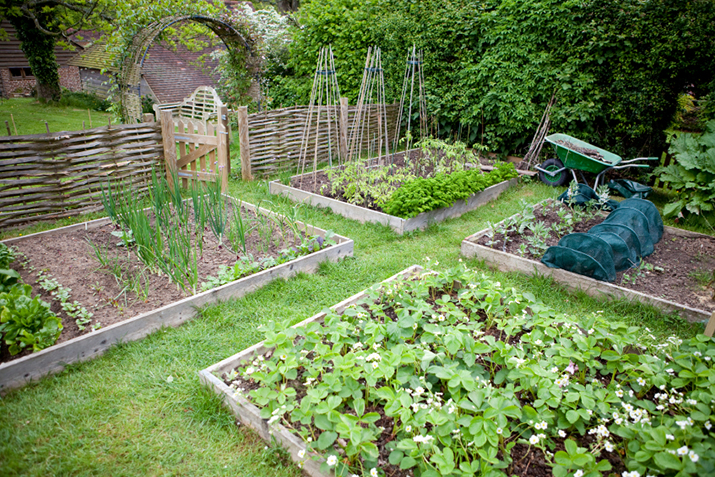How To Build A Raised Bed Co Op, How To Build Garden Bed