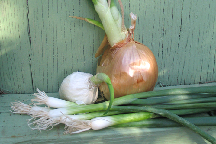 Growing Green Onions Without A Garden Co Op Welcome To The Table,Cellulose In Food Definition