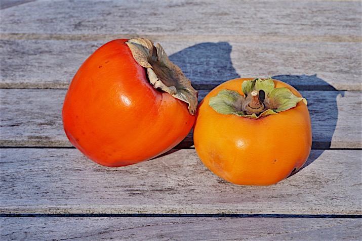 Persimmons | Co+op, welcome to the table